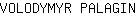 V***N