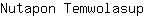 N***p