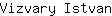 V***n