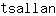 t***n