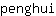 p***i