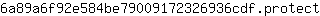 6***t