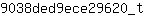 9***t