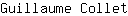 G***t