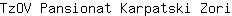T***i