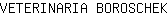 V***K