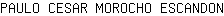 P***N