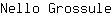 N***e