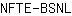 N***L