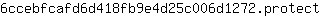 6***t
