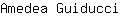 A***i