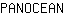 P***N