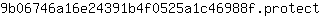 9***t