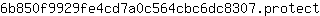 6***t