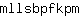 m***m
