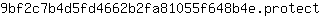 9***t