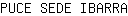 P***A