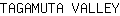 T***Y