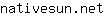 n***t