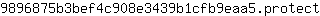 9***t