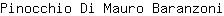 P***i