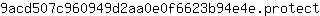 9***t