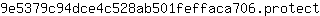 9***t
