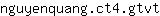 n***t