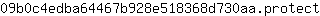0***t