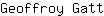 G***t