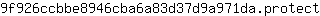 9***t