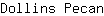 D***n