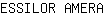 E***A