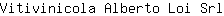 V***l