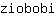 z***i