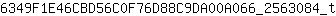 6***t