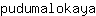 p***a