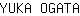 Y***A