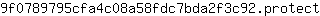 9***t