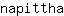 n***a