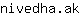 n***k