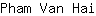 P***i