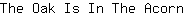 T***n