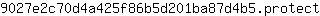 9***t