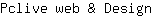 P***n
