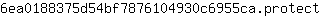 6***t