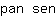 p***n