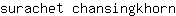 s***n