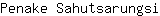 P***i