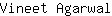 V***l